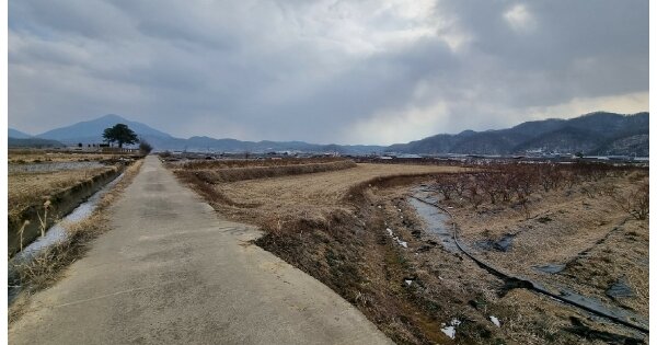 경상북도 의성군 가음면 장리 OOOO O OOO 답 경매 물건 이미지