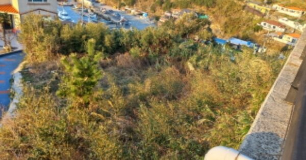 경상남도 거제시 남부면 갈곶리 OOOOO O OOO 임야 경매 물건 이미지