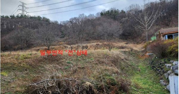 충청남도 서산시 성연면 명천리 OOOOO 임야 경매 물건 이미지