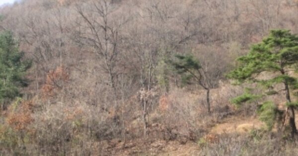 경상북도 문경시 산북면 우곡리 OOO 전 경매 물건 이미지