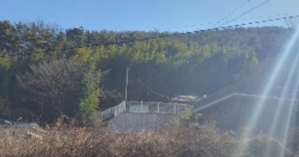 경상남도 의령군 지정면 유곡리 OOO 전 경매 물건 이미지