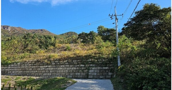 충청남도 금산군 추부면 성당리 OOOOOO 임야 경매 물건 이미지