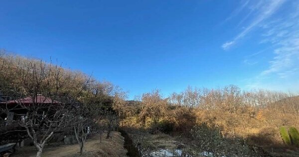 경상남도 창원시 의창구 북면 내곡리 OOO O OOO 답 경매 물건 이미지