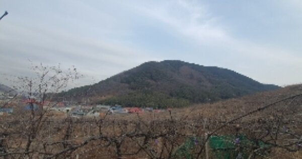 경상남도 함안군 칠북면 봉촌리 OOOOOOO O OOO 전 경매 물건 이미지