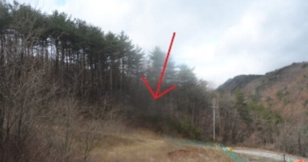 강원도 태백시 황지동 OOOOOOO 임야 경매 물건 이미지