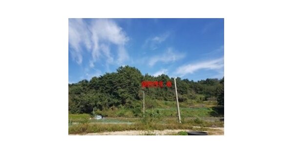 경상북도 울진군 근남면 진복리 OOO 임야 경매 물건 이미지