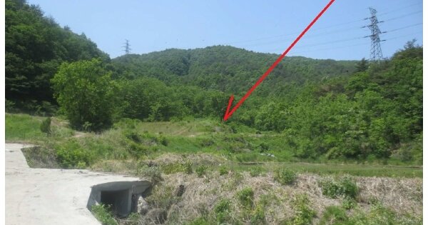 강원도 고성군 간성읍 광산리 OOO O OOO 전 경매 물건 이미지