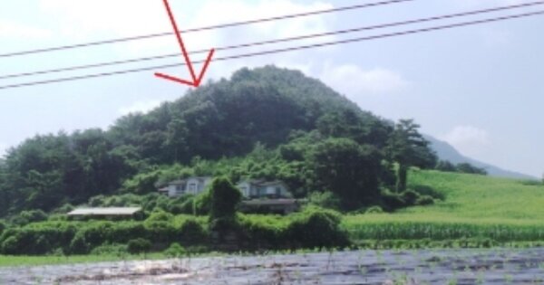 강원도 정선군 신동읍 운치리 OOOOO 임야 경매 물건 이미지