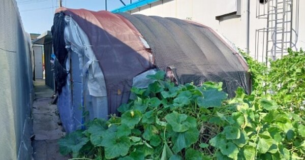 충청남도 공주시 유구읍 녹천리 OOOOO O OOO 공장 경매 물건 이미지
