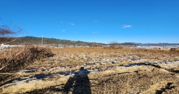 충청북도 옥천군 이원면 강청리 OOO 임야 경매 물건 이미지