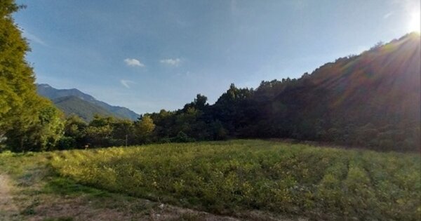 충청남도 공주시 계룡면 중장리 OOOOO 임야 경매 물건 이미지