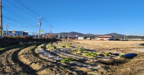 충청북도 영동군 양산면 가곡리 OOOOO 답 경매 물건 이미지