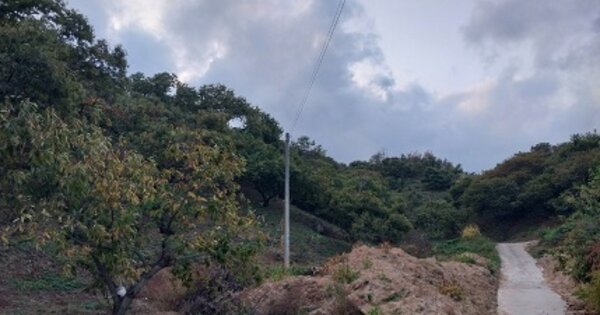 충청남도 청양군 청남면 대흥리 OOO 임야 경매 물건 이미지