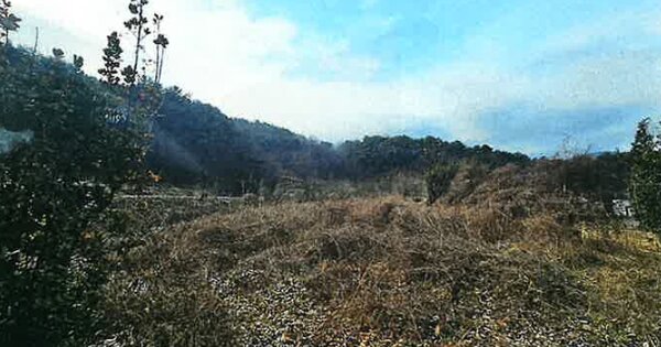 충청북도 옥천군 이원면 수묵리 OOO O OOO 전 경매 물건 이미지