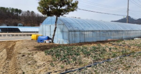 경기도 양주시 마전동 OOOOO 전 경매 물건 이미지