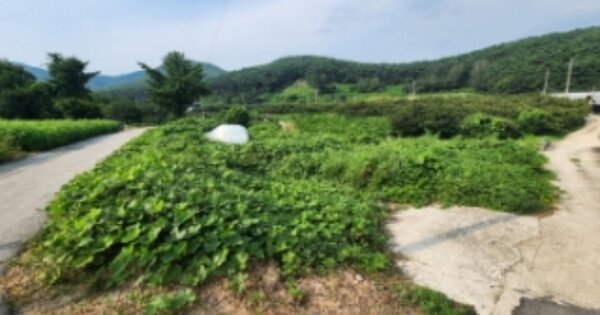 전라북도 부안군 보안면 남포리 OOO O OOO 전 경매 물건 이미지