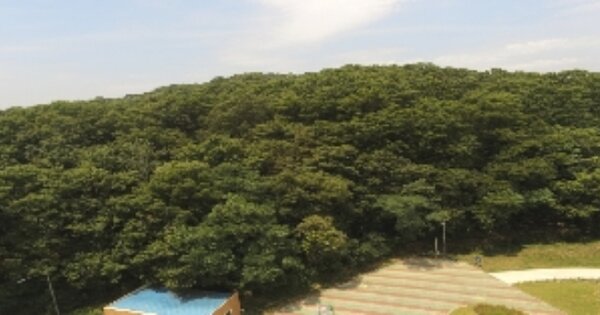 경상북도 구미시 고아읍 이례리 OOO 전 경매 물건 이미지