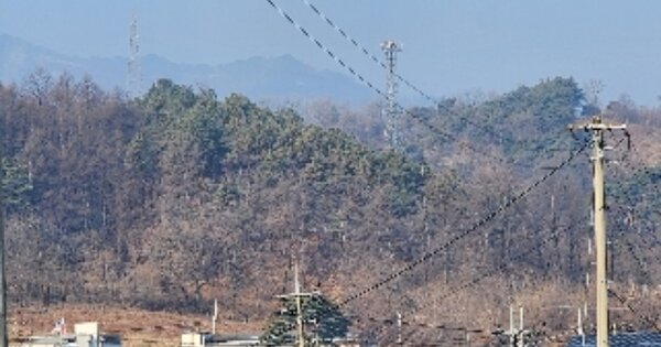 충청북도 제천시 송학면 시곡리 OOO 임야 경매 물건 이미지