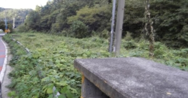 충청남도 논산시 벌곡면 수락리 OO 답 경매 물건 이미지