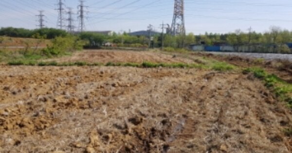 충청남도 당진시 송악읍 한진리 OOOOOO 전 경매 물건 이미지