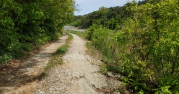 충청남도 당진시 송악읍 중흥리 OOOOO 임야 경매 물건 이미지