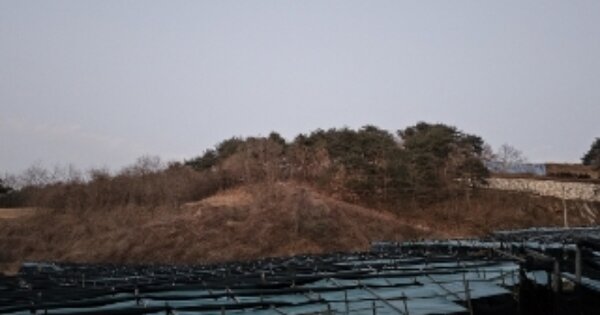 경상북도 영주시 문수면 만방리 OOOO 임야 경매 물건 이미지