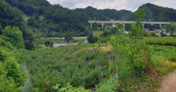 충청북도 충주시 살미면 설운리 OOO O OOO 전 경매 물건 이미지