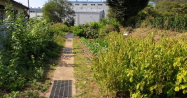 경상북도 경주시 서면 아화리 OOOOO 답 경매 물건 이미지