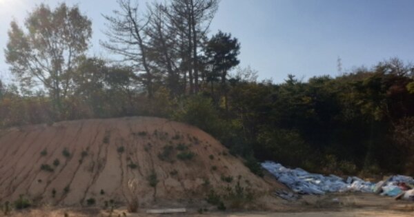 경상북도 경주시 충효동 OOOOOO 임야 경매 물건 이미지