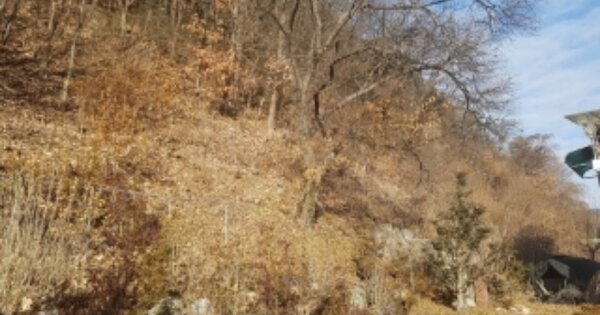 강원특별자치도 춘천시 서면 신매리 OOOOOO 임야 경매 물건 이미지