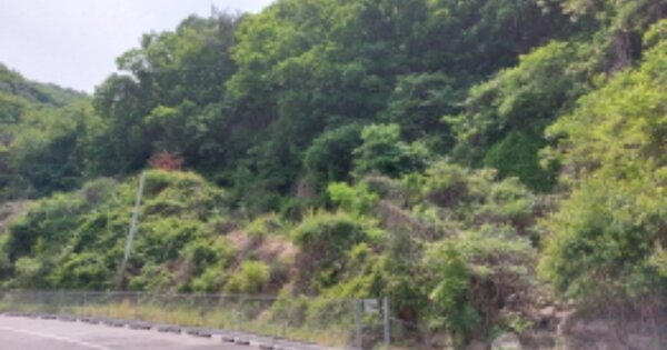 경기도 파주시 적성면 설마리 OOOOO O OOO 임야 경매 물건 이미지