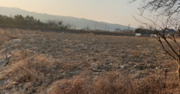 경상북도 경주시 동방동 OOOOO O OOO 답 경매 물건 이미지
