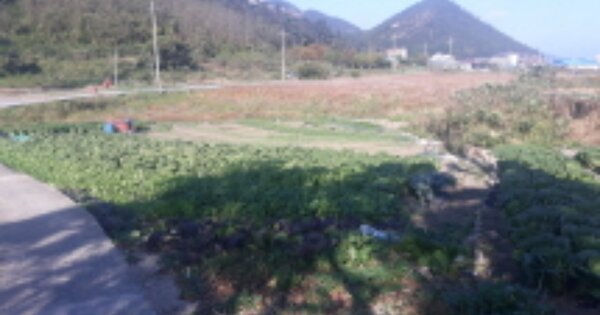 전라북도 군산시 옥도면 선유도리 OO O OOO 전 경매 물건 이미지