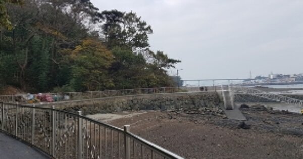 충청남도 보령시 오천면 효자도리 OOO O OOO 전 경매 물건 이미지