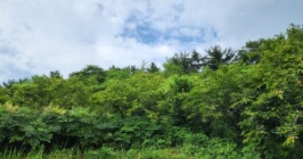 전라남도 광양시 광양읍 초남리 OOOOO 전 경매 물건 이미지