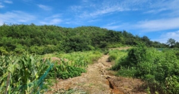 전라남도 여수시 돌산읍 평사리 OOOOOO O OOO 임야 경매 물건 이미지