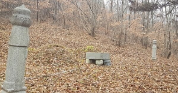 충청남도 서천군 마산면 신봉리 OOOOO O OOO 과수원 경매 물건 이미지