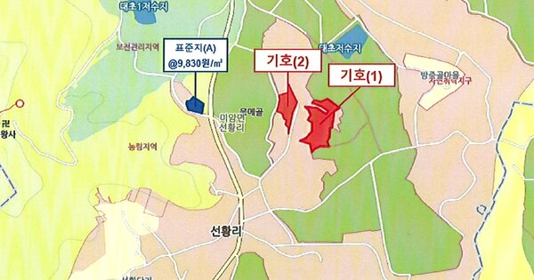 전라남도 영암군 미암면 선황리 OOOOOO 전 경매 물건 이미지