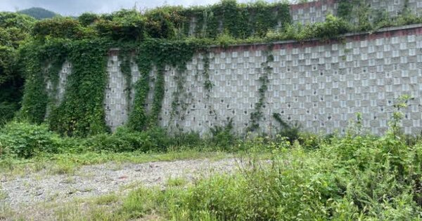 경상남도 사천시 실안동 OOO O OOO 대지 경매 물건 이미지