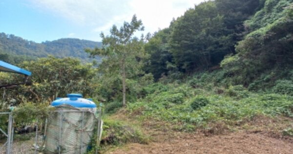 경상남도 거제시 하청면 유계리 OOOOO O OOO 답 경매 물건 이미지