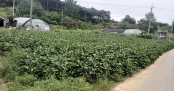 충청남도 당진시 송악읍 월곡리 OOOOO 전 경매 물건 이미지