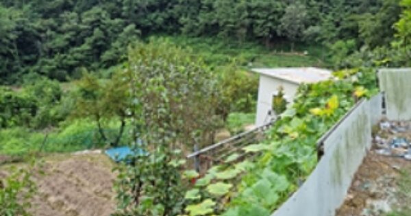 경상남도 창원시 의창구 소계동 OOO 답 경매 물건 이미지
