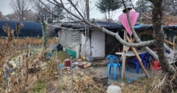 경기도 하남시 초일동 OOOOO 전 경매 물건 이미지