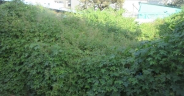 충청북도 청주시 상당구 서문동 OOOO 대지 경매 물건 이미지
