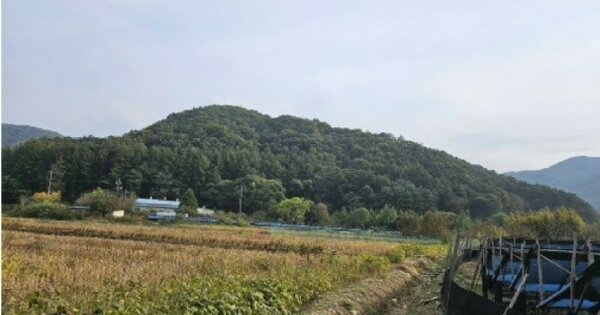 경기도 포천시 신북면 심곡리 OOOOO 임야 경매 물건 이미지