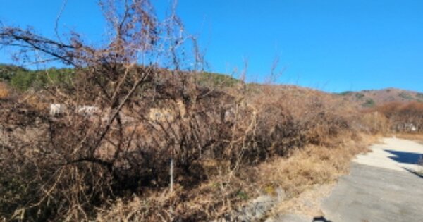 충청남도 천안시 동남구 안서동 OOOO O OOO 공장 경매 물건 이미지