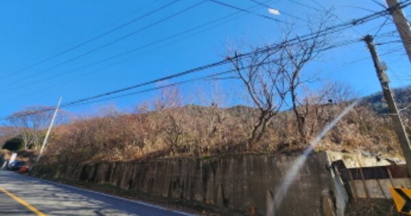 충청남도 천안시 동남구 안서동 OOOO O OOO 전 경매 물건 이미지