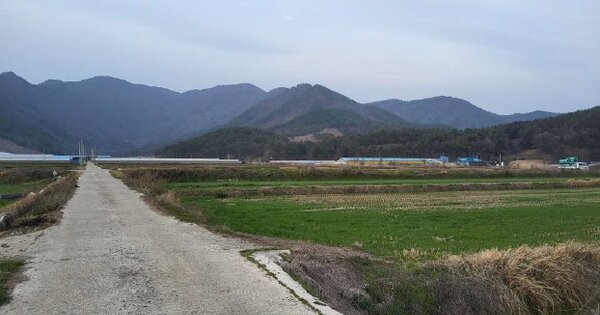 전라남도 장흥군 안양면 신촌리 OOOOO O OOO 답 경매 물건 이미지