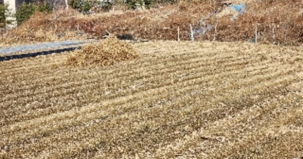 충청북도 제천시 봉양읍 학산리 OO O OOO 전 경매 물건 이미지