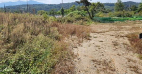 충청남도 금산군 금성면 마수리 OOOOO 임야 경매 물건 이미지